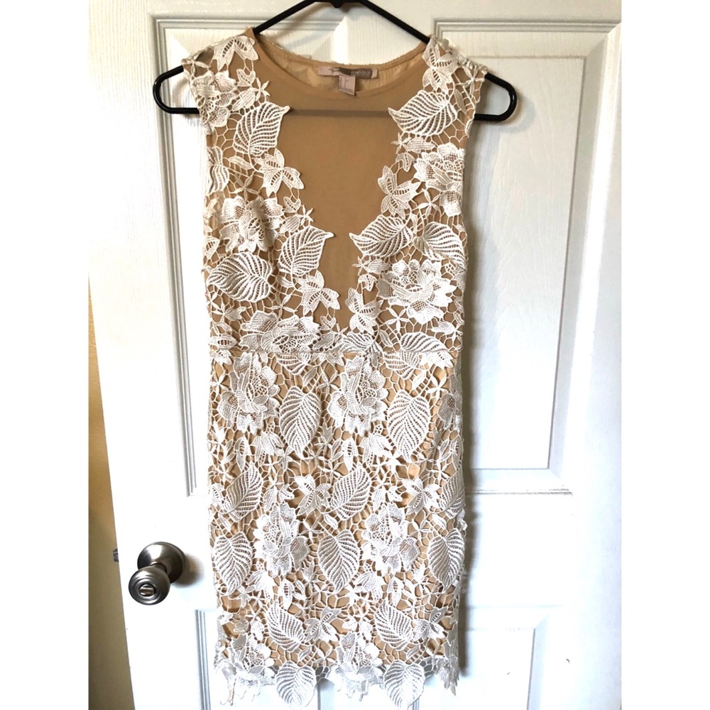 Plunge neck Lace Dress